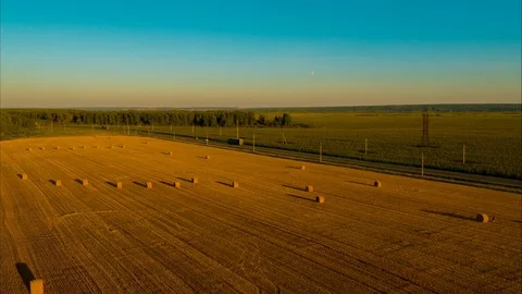 Flight over the field after harvest for the winter for cattle Stock Footage 79774026