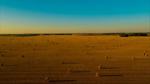 Flight over the field after harvest for the winter for cattle Stock Footage 79774516