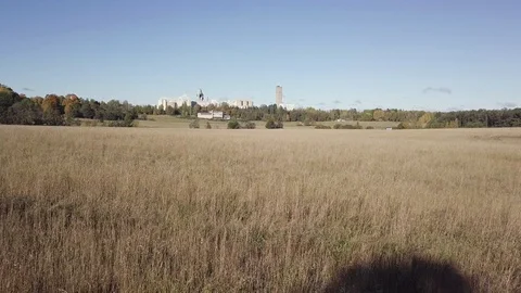Flight over a field and couple of deers Stock Footage 97609499