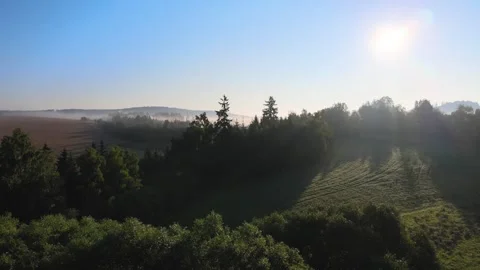 Flight over a field and forest in the morning fog near a railway viaduct. Stock Footage 294388814