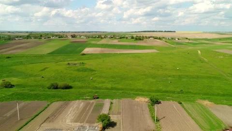 Flight over a field with cattle and country streets. Video stock 201018603