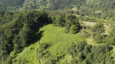Flight over a field on the edge of the mountain Stock Footage 136830232