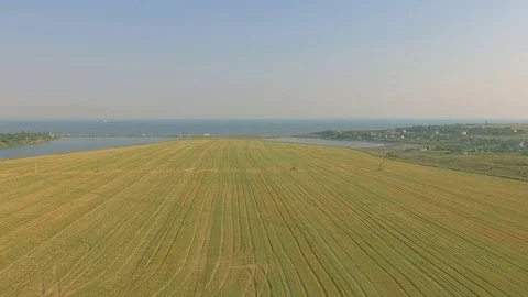 Flight over a field Stock Footage 78069666