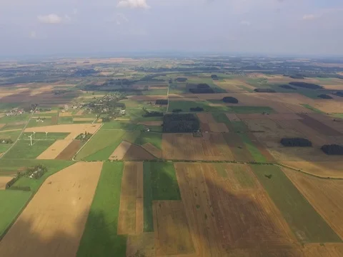 Flight over the field Stock Footage 85101102