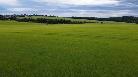Flight over a field Stock Footage 157009067