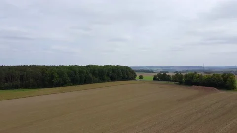 Flight over the field, forest and village Stock Footage 171759261