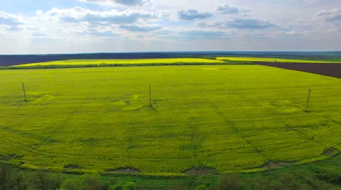 Flight over a field of oilseed rape 스톡 동영상 62841706