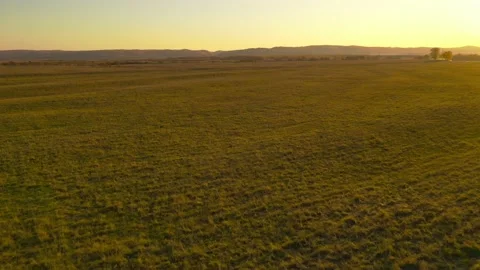 Flight over the field. Sunset. Beautiful video. Stock Footage 142861222