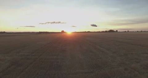 Flight over a field towards the sunset Stock Footage 54772817