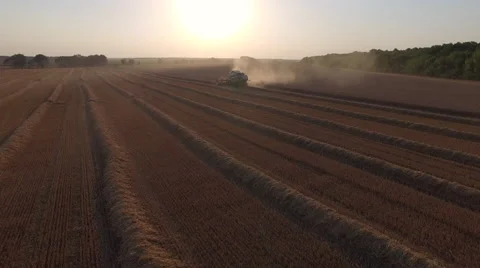 Flight over a field treated harvester Stock Footage 65250169