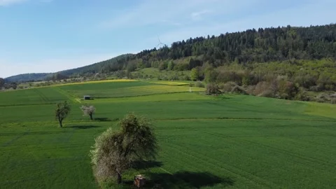 Flight over a field with trees to a hill with a wind turbine Stock Footage 154370519