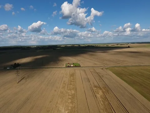 Flight over a field of wheat 2 Stock Footage