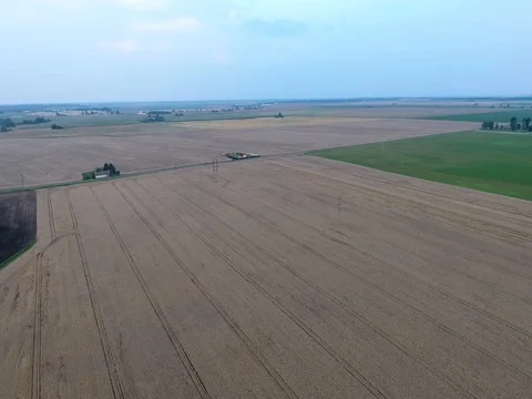 Flight over a field of wheat Farm Stock Footage 70349278