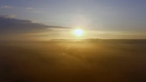 Flight over a field with wheat Stock Footage 77486194