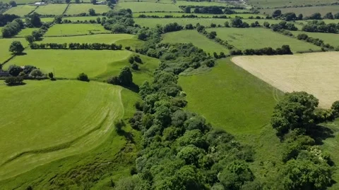 Flight Over Fields in the afternoon. Aerial top view of Irish fields Stock Footage 161173771