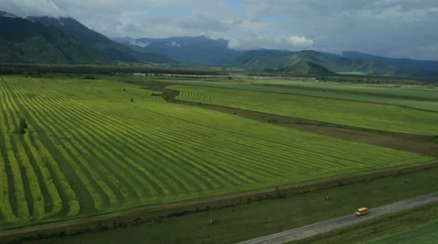 Flight over fields. Altai. Siberia Stock Footage 34145746