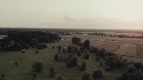 Flight over fields and clearing with trees during sunset, dim image Stock Footage 252044863