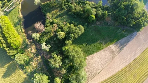 Flight over the fields and trees and river Stock Footage 89454716