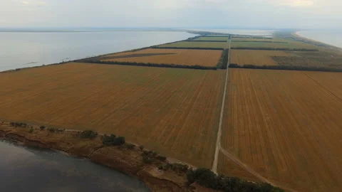 Flight over fields between lakes 스톡 동영상 142659849