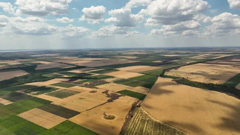 Flight over the fields with burned crops in the Kherson region. Stock Footage 204712310