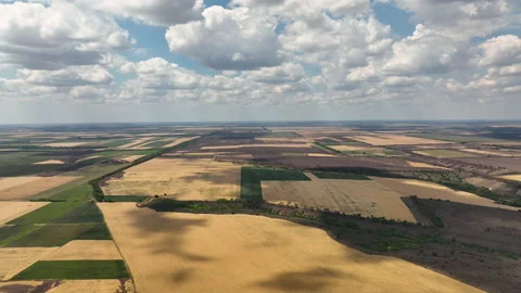 Flight over the fields with burned crops in the Kherson region. Stock Footage 204712357