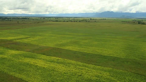 Flight over fields in fog. Altai. Siberia Stock Footage 34148180