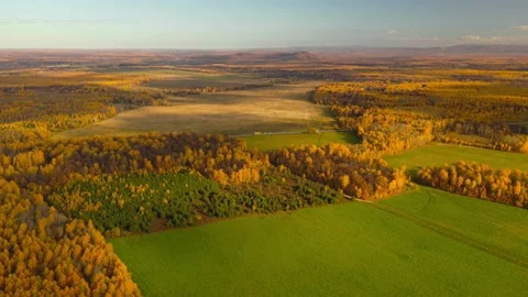 Flight over fields, forests, mountains. Golden autumn. Stock Footage 142861159