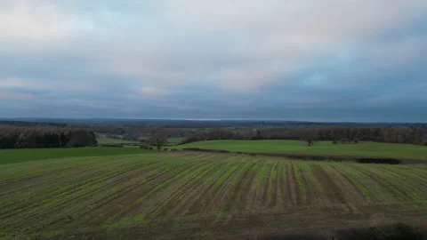 Flight over fields forwards - Rippon - Yorkshire - Winter - Overcast - Decem Video stock 229410342