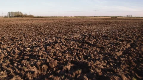 Flight over the fields in the suburbs of St. Petersburg 71 Stock Footage 136059766