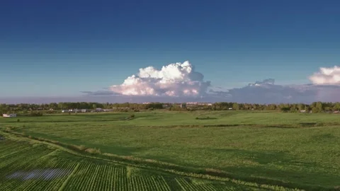 Flight over the fields in the suburbs of St. Petersburg 53 Stock Footage 136059808