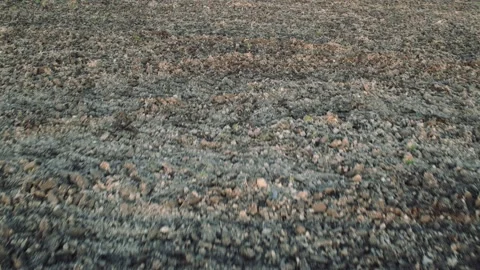 Flight over the fields in the suburbs of St. Petersburg 78 Stock Footage 136060114