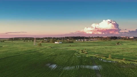 Flight over the fields in the suburbs of St. Petersburg 57 Stock Footage 136060805