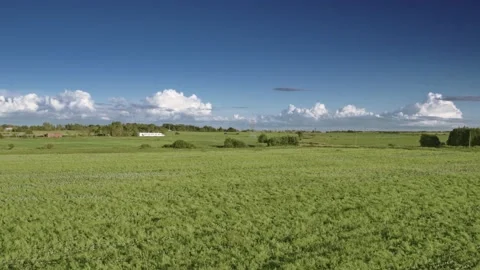 Flight over the fields in the suburbs of St. Petersburg 38 Stock Footage 136061110