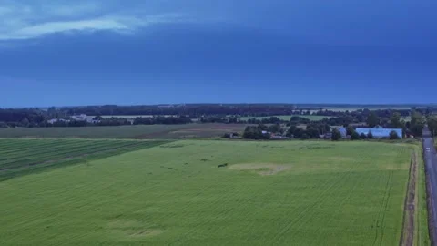 Flight over the fields in the suburbs of St. Petersburg 29 Stock Footage 136061169