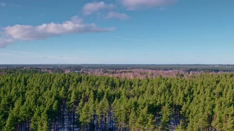Flight over the fields in the suburbs of St. Petersburg 12 Stock Footage 136061195