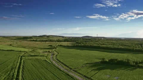 Flight over the fields in the suburbs of St. Petersburg 40 Stock Footage 136061215