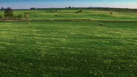 Flight over the fields in the suburbs of St. Petersburg 55 Stock Footage 136061267