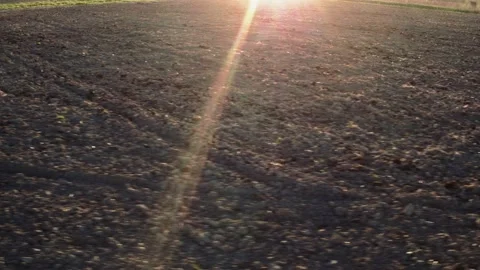 Flight over the fields in the suburbs of St. Petersburg 82 Stock Footage 136061698