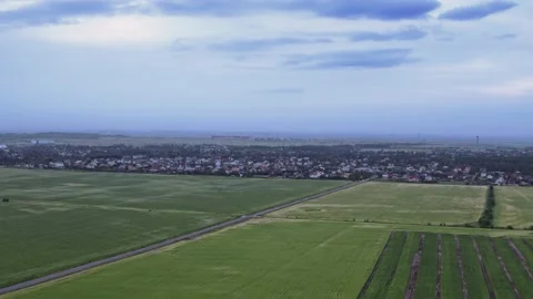 Flight over the fields in the suburbs of St. Petersburg 20 Stock Footage 136061954
