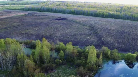Flight over the fields in the suburbs of St. Petersburg 73 Stock Footage 136061994