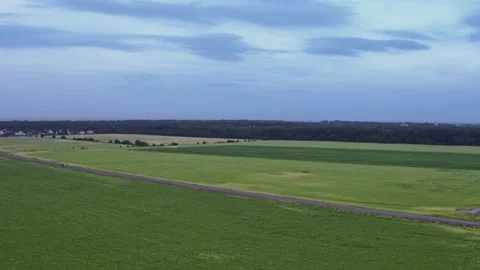 Flight over the fields in the suburbs of St. Petersburg 17 Stock Footage 136062061