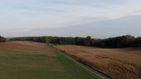 Flight over fields in sunset light. Stock Footage 96163175