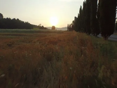 Flight over the fields toward the sun Stock Footage 72193249