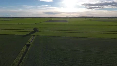 Flight over flat field. Aerial view of large green field in western Finland Stock Footage 134791836