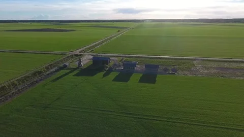 Flight over flat field. Aerial view of large green field in western Finland Stock Footage 134791847