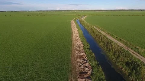 Flight over flat field. Aerial view of large green field in western Finland Stock Footage 134791968