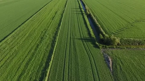 Flight over flat field. Aerial view of large green field in western Finland Stock Footage 134792021