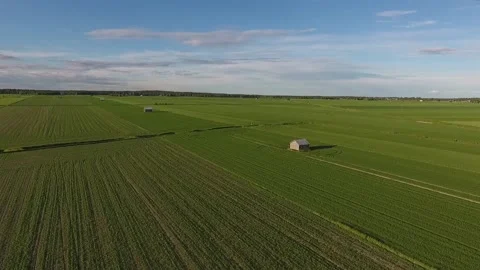 Flight over flat field. Stock Footage 134791872