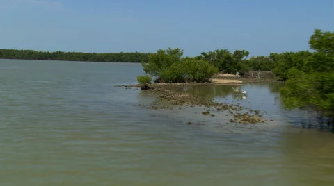Flight over Florida coastal sandbars, along beach, and over seaside trees Stock Footage 59334631