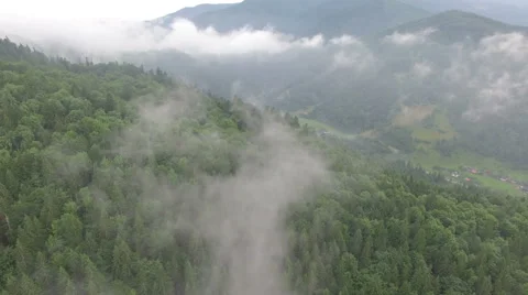 Flight over the fog in the forest Stock Footage 67110353